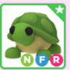 Roblox Adopt Me Neon Turtle Fly Ride - Adopt Me Turtle NFR