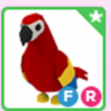 Parrot FR - Parrot Fly Ride Adopt Me Roblox