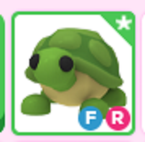 FR Turtle - Turtle Fly Ride Adopt Me Roblox