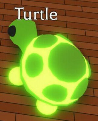 What is a Neon Turtle Worth in Adopt Me? How to get a Neon Turtle?