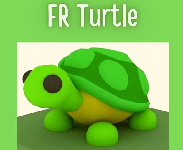 What is a Fly Ride Turtle Worth in Adopt Me? How to get Turtle Adopt me?