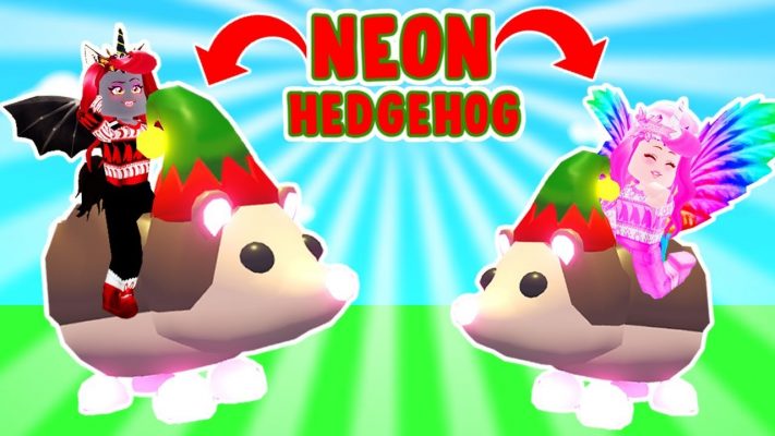 What is a Neon Hedgehog Worth in Adopt Me? How get Neon Hedgehog