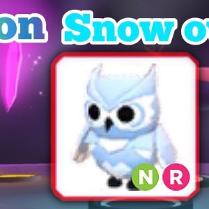 NFR Snow Owl - Neon Snow Owl Fly Ride Adopt Me Roblox