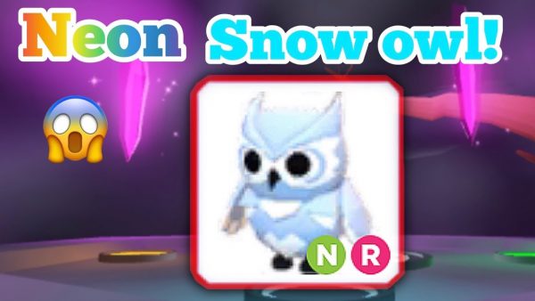 NFR Snow Owl - Neon Snow Owl Fly Ride Adopt Me Roblox